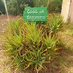 Casa In Campagna San Giovanni Suèrgiu